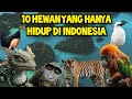 10 Hewan Endemik Indonesia Yang Sangat Terkenal dan Mendunia