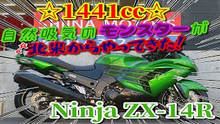 ■シイナモータース船橋店　スーパースポーツ館■カワサキ　ニンジャ　ＺＸ－１４Ｒ　６０９０４　マレーシア仕様　オーリンズリヤサス　フェンダーレス　ブレンボブレーキ　ＡＢＳ　ＥＴＣ　ＵＳＢ