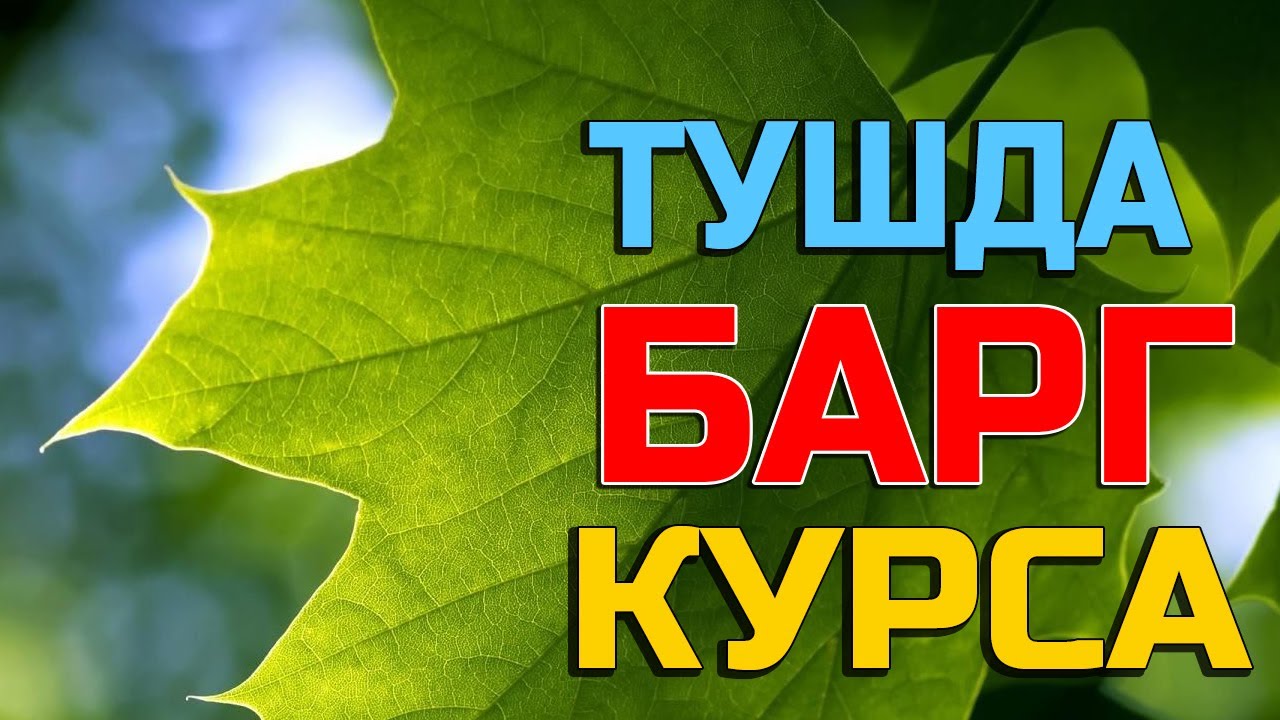 Тушда узум. Тушда Узум курса. Туш табири тушда дарахт. Тушда дарахт курса.