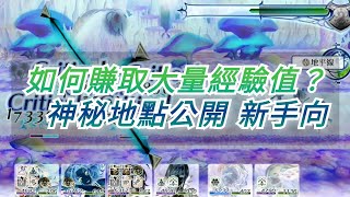 ANOTHER EDEN -穿越時空的貓- 賺取大量經驗值的神秘地點 新手向攻略 仙華實用篇 How to get exp faster ?