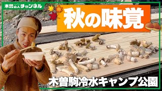 【公園開発DIY】秋の味覚！！