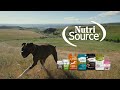 nutri source full circle feeding pet food