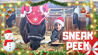 Christmas pony!! Sneak Peek Spoiler. Merry Christmas everyone! Christmas parade | Friesian Horses