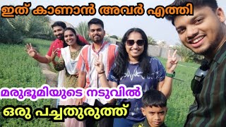 മനോഹരകാഴ്ചകൾ കാണാൻ അവർ എത്തി #b2family #familyvlog #buraimi #travel #travelvlog #malayalam #pravasi