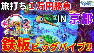 ぐぅパチ 旅打ち１万円勝負#3「投資１ｋ⁉魚群命中率１００％のアグネス‼」【CR大海物語4 Withアグネス・ラム 遊デジ】