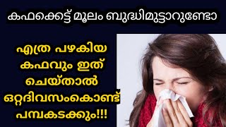 എത്ര പഴകിയ കഫവും ഇല്ലാതാക്കാനുള്ള പൊടിക്കൈകൾ💯💯💯