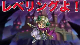 【ドラクエウォークLive】レベリングしながら雑談。お気軽にどうぞ！