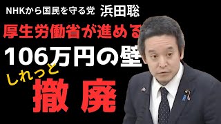 厚生労働省106万円の壁しれっと撤廃｜NHK党 浜田聡｜参議院 総務委員会（第三回）2024年12月19日   #106万円の壁   #浜田聡