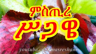 ምስጢረ ሥጋዌ - Mistre Sigawe