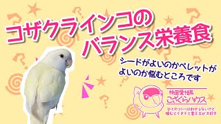 コザクラインコのバランス栄養食