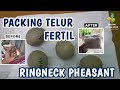 Cara Packing Telur Tetas Anti Pecah (Fertil) ||Bhumi Ayam Hias||