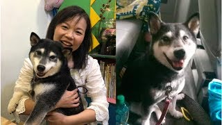 黃舒湄12歲愛犬當臨演　陸弈靜「讓出保母車」秒變鐵粉