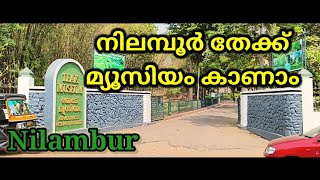 നിലമ്പൂർ തേക്ക് മ്യൂസിയം കാണാം ഒപ്പം 400 വർഷത്തിലധികം പഴക്കമുള്ള തേക്കും കാണാം.