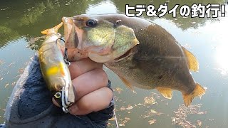 【バス釣り】ジョイクロ128も良き！ ヒデ\u0026ダイの釣行