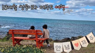 53개월 쌍둥이와 제주도 여행 ep2 | 제주도 여행 첫날 | 감귤 따러 가요 🍊