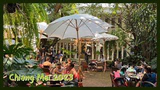 🇹🇭Chiang Mai🇹🇭 🍰 Happy Place Inside a Forest 🥓 Fern Forest Cafe 🥉 2023