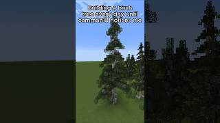 Building a birch tree everyday until @camman18 notices me (Day 35)