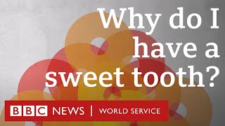 Why do I have such a sweet tooth? Crowdscience - BBC World Service