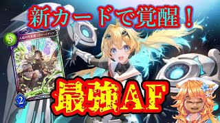 【シャドバ】ヴァーミディアで環境最強に⁉絶対勝てるAFネメシス！【Shadowverse/天示す竜剣】