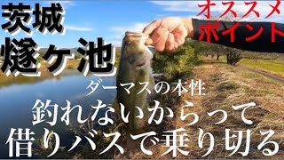 【バス釣り】つくばの野池巡り！数釣れる野池、でかいバス釣れる野池を探す！【茨城バス釣りポイント】