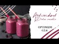 Quick Antioxidant Detox Smoothie using G2.6 | Most Powerful Blender 2021