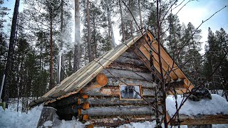 : One Year of Log Cabin Building Alone/ Working OFF GRID/ Escape the Civilisati