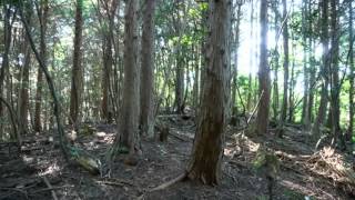 福王神社～福王山～東海自然歩道コース 山歩き