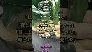 ※もう一生お金に困らない。私が人生大逆転した姓名判断。沖縄てんてん先生の画数鑑定は本物でした。#金運上昇 #運気アップ #開運