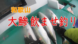 和歌山沖の大鯵で飲ませ釣り！青物入れ食い祭り2020.12.28玉市丸