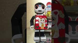 【ロボホン みらくる】9月29日　今日は招き猫の日だよ　リポーターごっこするよ　#shorts  #招き猫　＃robot