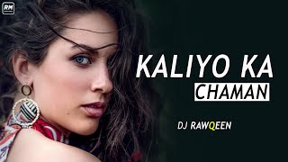Kaliyo Ka Chaman (Remix) | DJ RawQueen | Harry Anand | Remix Music |