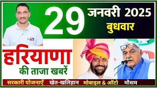 29 January 2025 Haryana News || हरियाणा की ताजा खबरें || Haryana Live News || CWB Hindi News