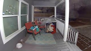 Couple finds woman experiencing homelessness seeking shelter in dog kennel on porch