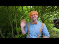 blippi learns about sneezing blippi wonders fun and educational cartoons for kids