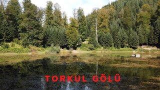 Torkul Yaylası-Torkul Göleti