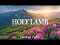 HOLY LAMB | Instrumental worship and prayer music for studying and work | Christian Music