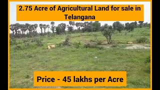 Telangana : 2.75 Acre of Agricultural Land for sale located at Katangur, Nalgonda District