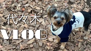 【VLOG】ワンコと代々木におでかけしたら楽しかった♪ドッグランにも行ったよ♡【可愛いヨーキー】【愛犬の日常】【ペットと暮らす】【古民家カフェランチ】【代々木公園ドッグラン】