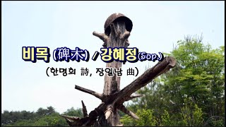 비목(碑木) / 강혜정(Sop.) [한명희 詩, 장일남 曲]