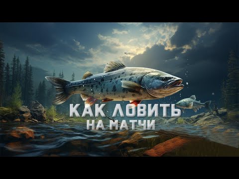 Русская Рыбалка 4.Как Ловить На Матчи?