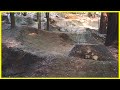 Pump Track Restoration Part 5 | HOW TO BUILD JUMPS Pump Track Restoration Part 5 | HOW TO BUILD JUMPS