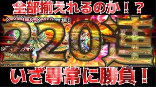 【星ドラ】不死鳥装備220連でコンプリート狙いでいざ尋常に勝負！