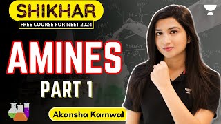 Amines | Part 1 | NEET 2024 | Akansha Karnwal