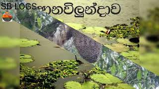 අප නොදන්න සියලුම දේ රහසේ සිදු වන ආනවිලුන්දාව