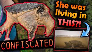We Helped Police Confiscate a Snapping Turtle :(