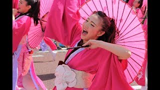 20170604湘南よさこい祭り2017（疾風乱舞）【ＨＤ・原画４Ｋ】