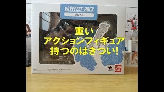 魂EFFECT ROCK  重い！　アーツ担げないぞ