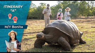 The Best Navigation Through The Galapagos Aboard THE BONITA | ITINERARY A | Cruise to Galapagos🚢