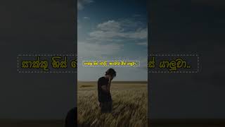 අන්න එකයි 😂 #sorts #viralvideo #motivationsong #motivation #wadan #sinhala