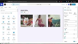 Instagram Feed Widget Setup in AIT Blocks (Pro Feature)